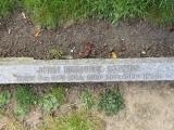 image of grave number 866289